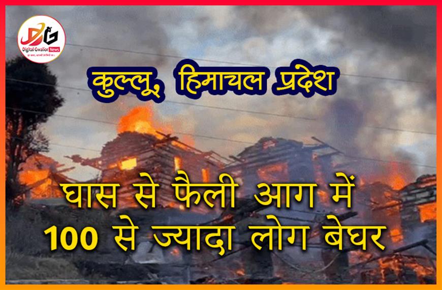  कुल्लू, हिमाचल प्रदेश: घास से फैली आग में 100 से ज्यादा लोग बेघर